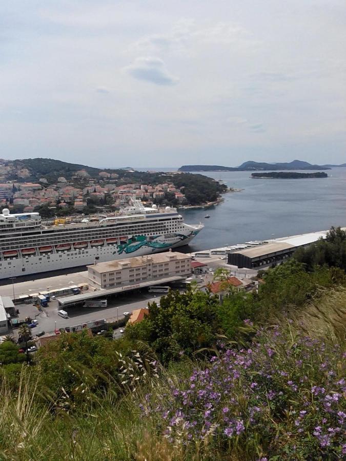 Guest House Taira Dubrovnik Cameră foto