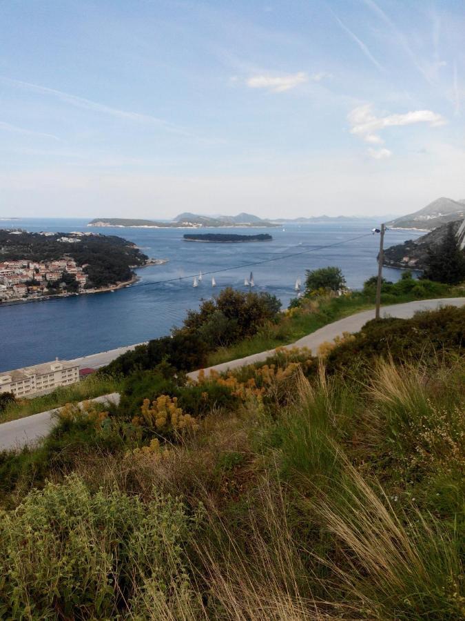 Guest House Taira Dubrovnik Cameră foto